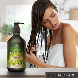 Teebaumöl für die Haare kaufen